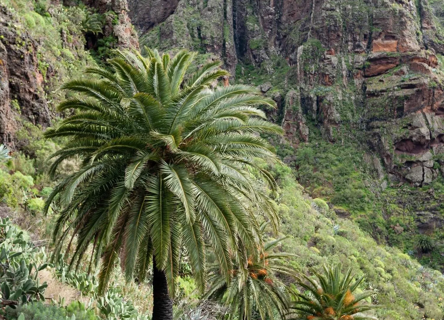 Villa Live masca casatarucho Buenavista Del Norte